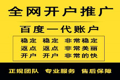 竞价广告投放技巧：如何提高转化率——案例分析